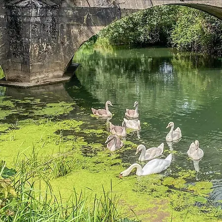 Amazing In Chemilly Hébergement de vacances