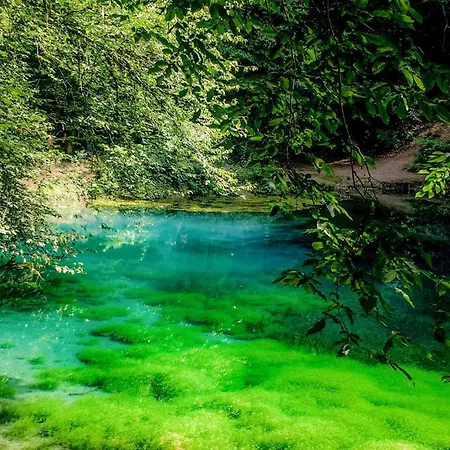 Amazing In Chemilly *